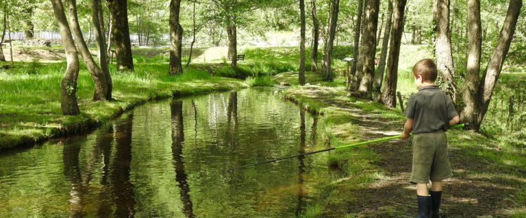 Pèche à la truite